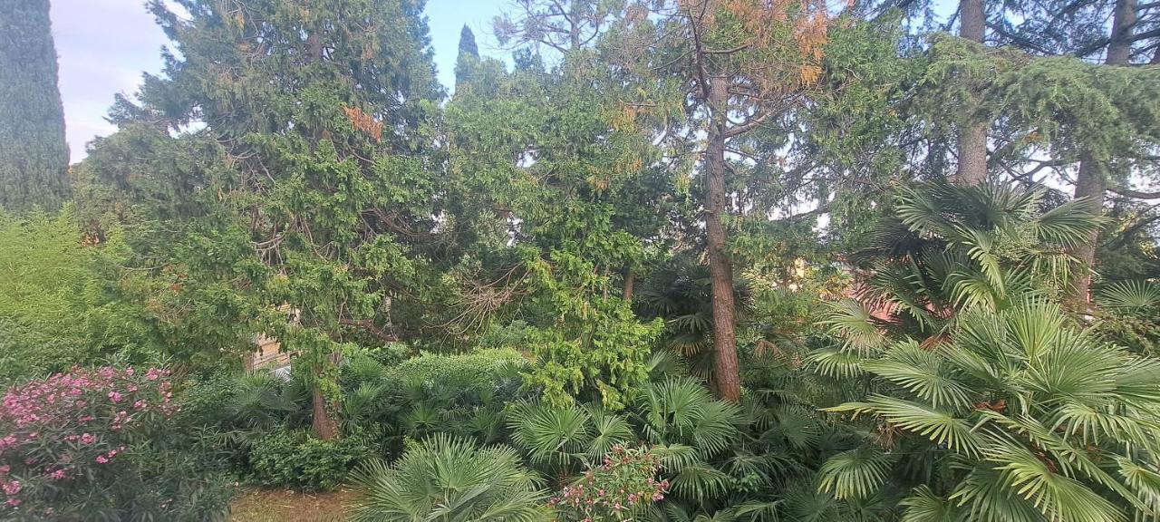 Apartament Vili, Oasis Step To The Sea